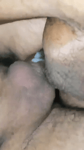 Gay bottom gets gay double fuck breeding cumloads in his hole